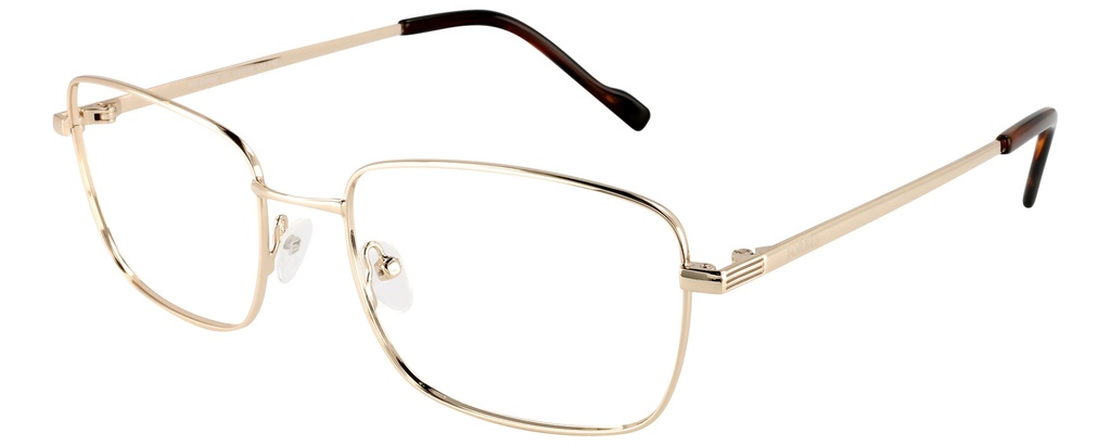 FORBES Memory RX* 83005 COL 101