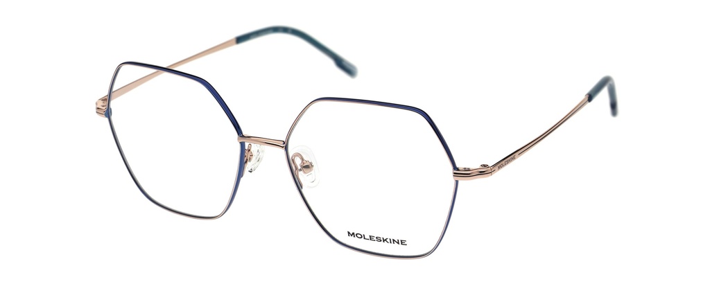 MOLESKINE RX* 2253 COL 25