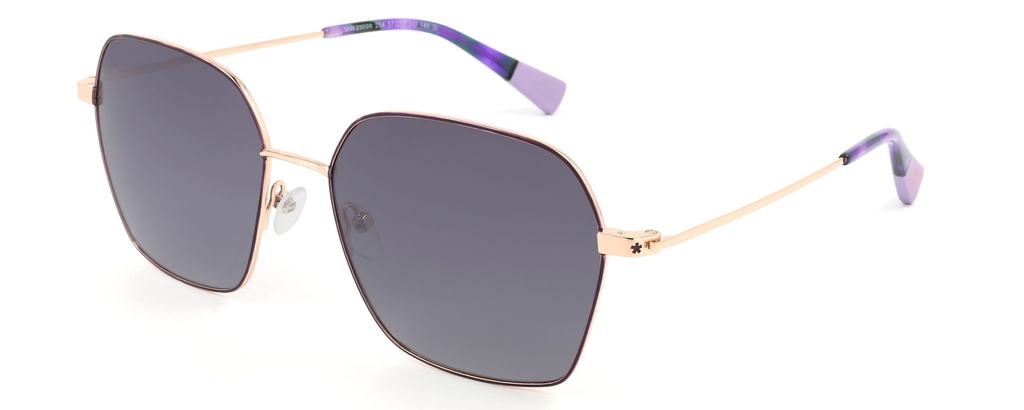 MR. WONDERFUL SUN  29098 COL 254