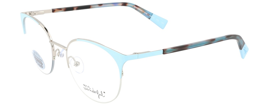 MR. WONDERFUL RX* 69084 COL 246