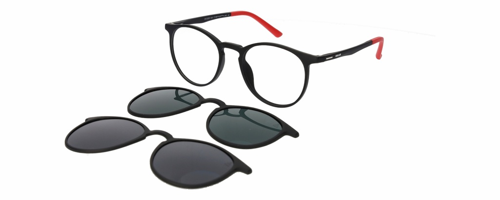 DAKAR Clip On L* 11020 COL 616