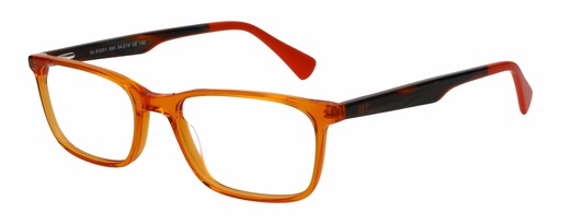 AGATHA  LECTURA RX* 63201 COL 585