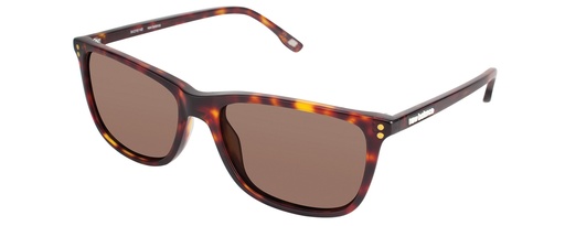 NB SUN 6001 COL.01
