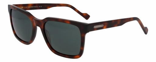 FORBES SUN 01153 COL 593